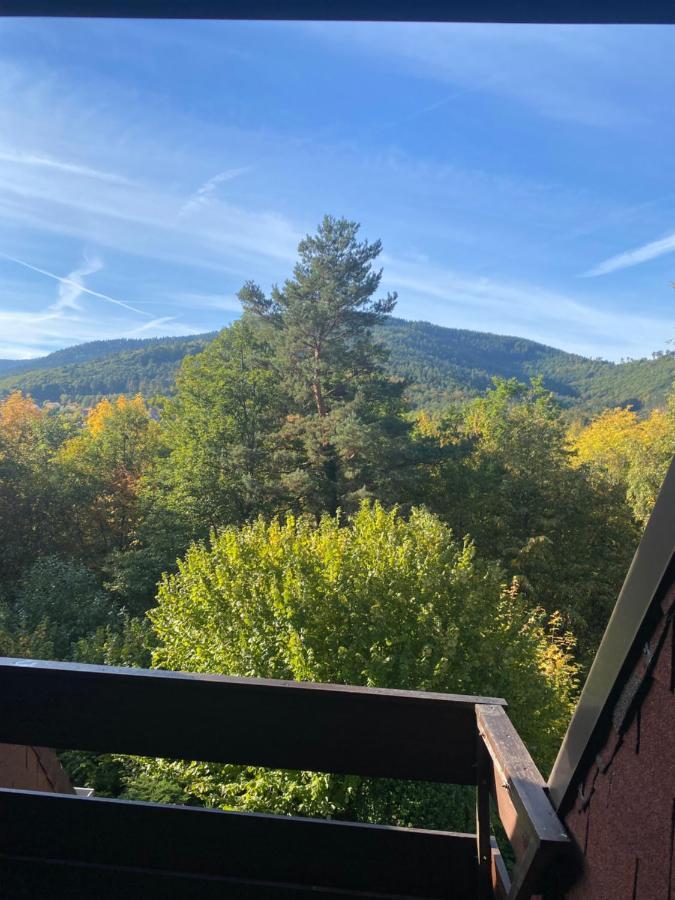 Gite Au Nid De L'Ecureuil Boersch Exterior foto